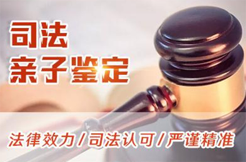 福州司法亲子鉴定怎么收费,